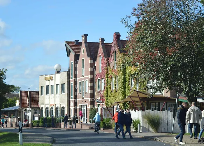 Daire Sonne Schillig