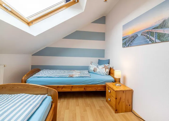 Daire Sonne Schillig